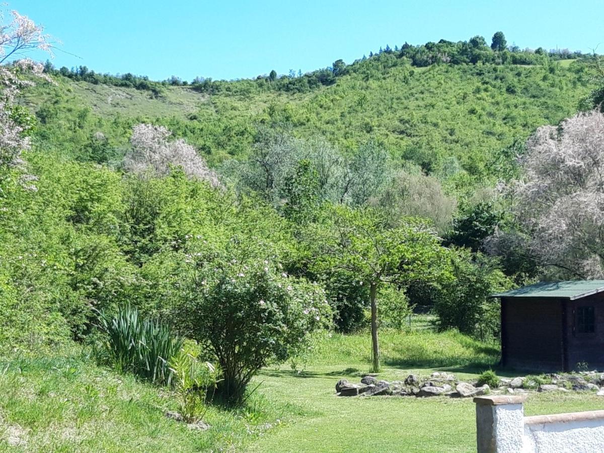 Il Baiocchino Bed & Breakfast Castel San Pietro Terme